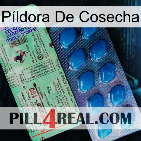 Píldora De Cosecha new02.jpg